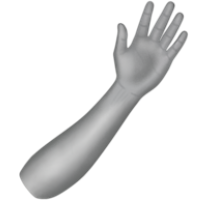 Waving limb overlay preview
